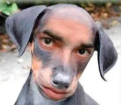 S-IIID - Contrastes e semelhanças*