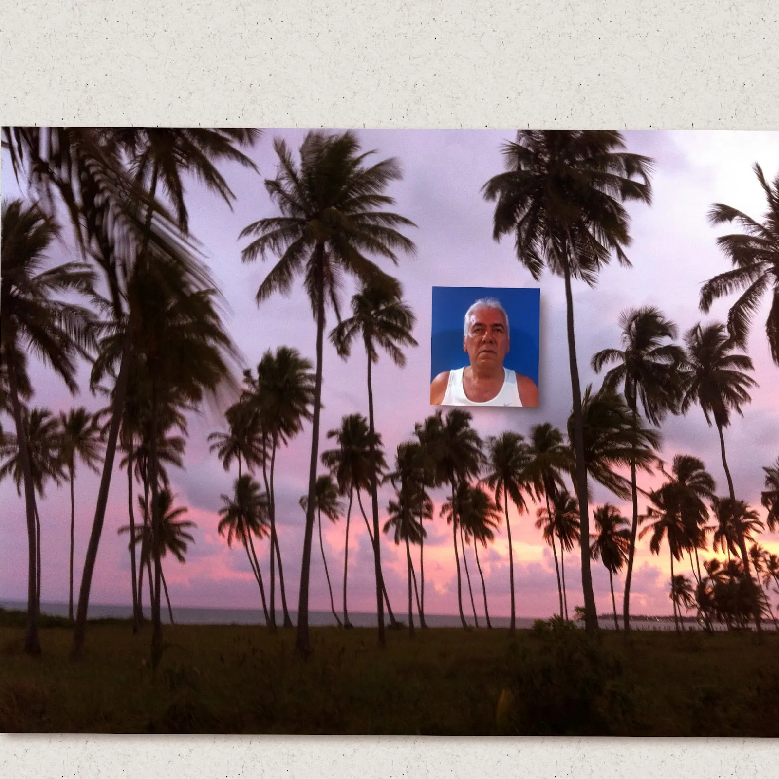 Tamandaré ao por do Sol