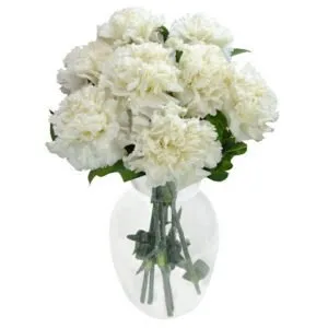 (S) *Grinalda de sonetos "Pai" - Soneto X