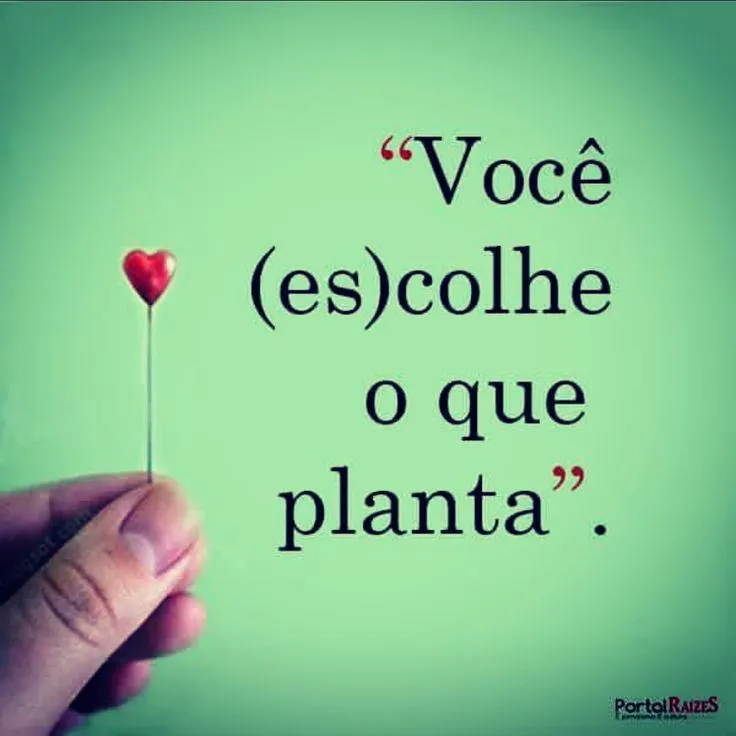 Precauções, ações e reações (Ver mais)