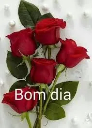 Indriso 8 – Bom dia‼!