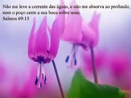Salmo 69