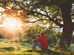 Sacrifício vicário (Ver mais)