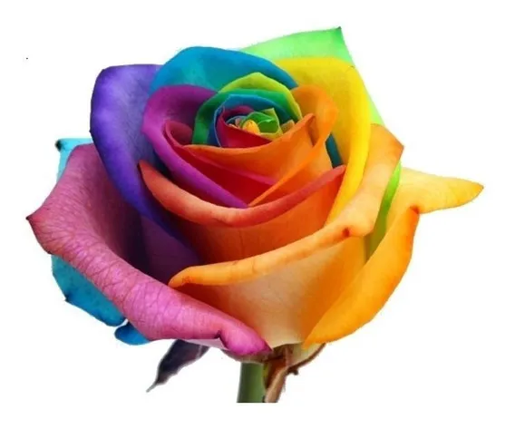 Trilogia de Trovas - Tema: TROVAS (Ver mais)