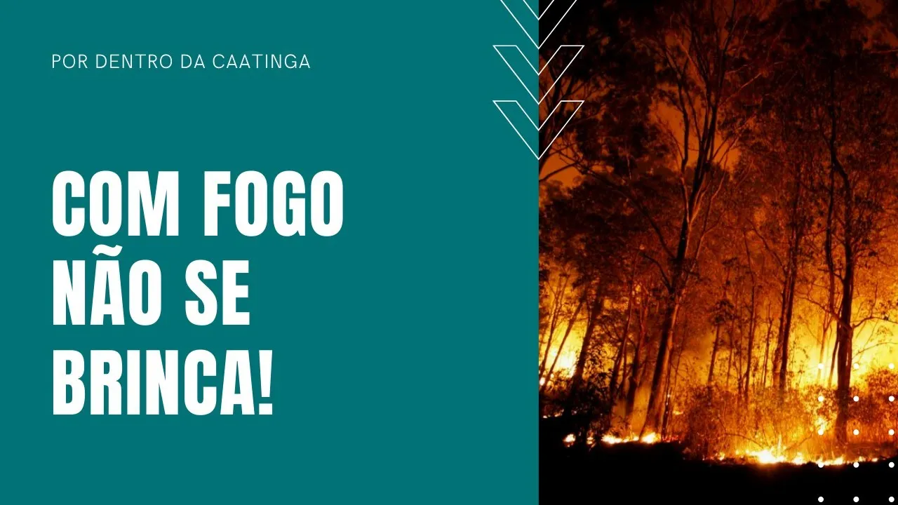 Brincadeiras de mal gosto (Ver mais)