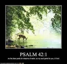Salmo 42