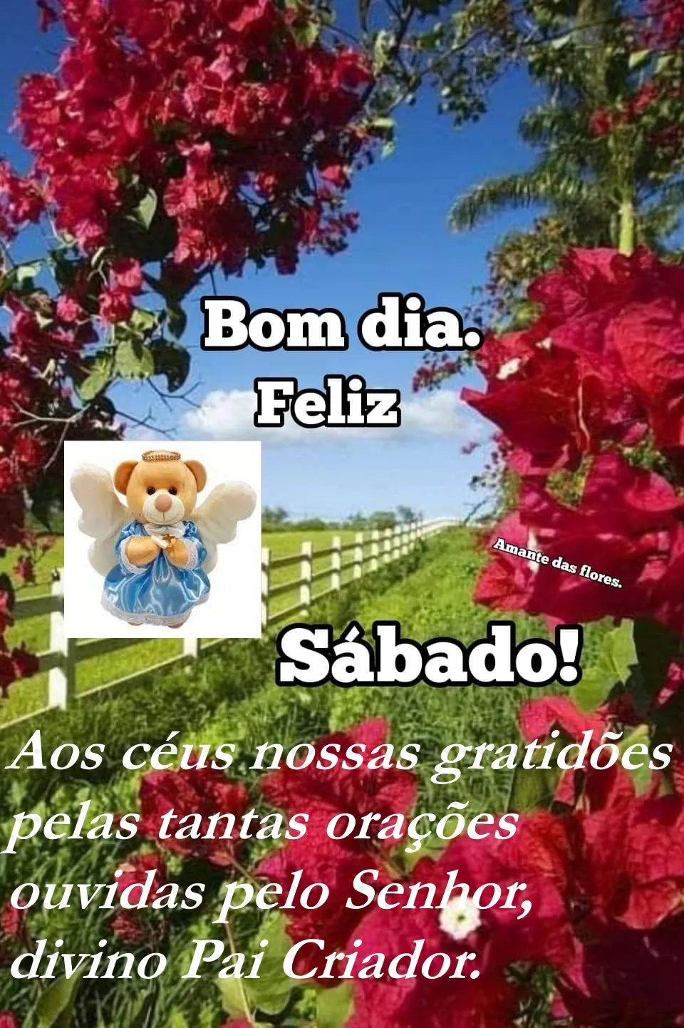 BOA NOITE – Feliz Sábado!
