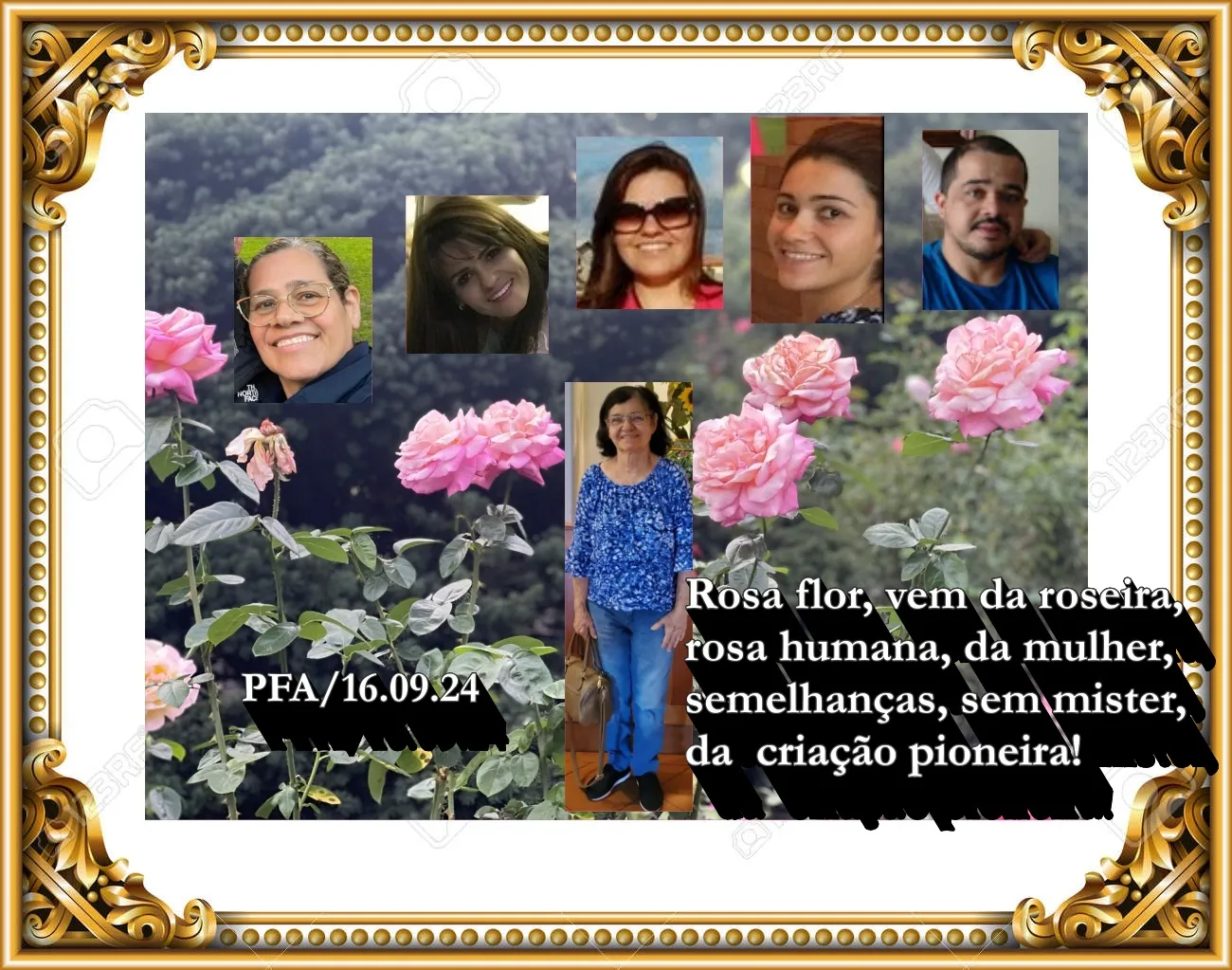 Roseiras & Rosas (Ver mais)