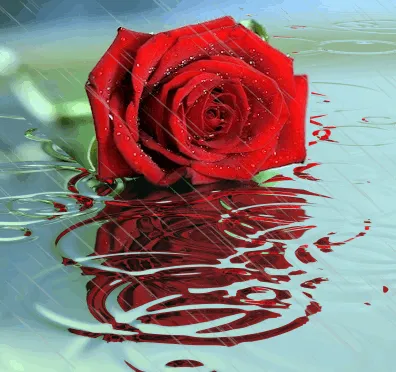 QM-IPV - Diálogos de Quia e Max — CXXIII