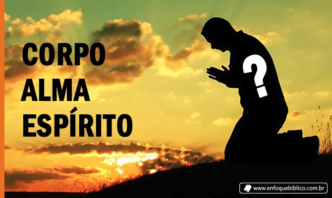 Bi ou tricotomia? (Ver mais)