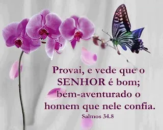 Trilogia de Trovas - Tema: Analise (Ver mais).