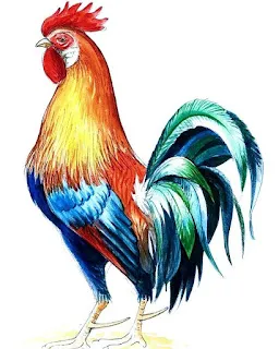 Poetas, aprendizes, peladeiros...