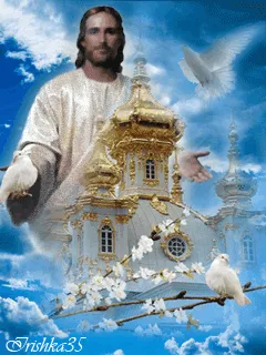 Ressurreição (Ver mais)