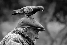 Indriso 24 – Sesquicentenário