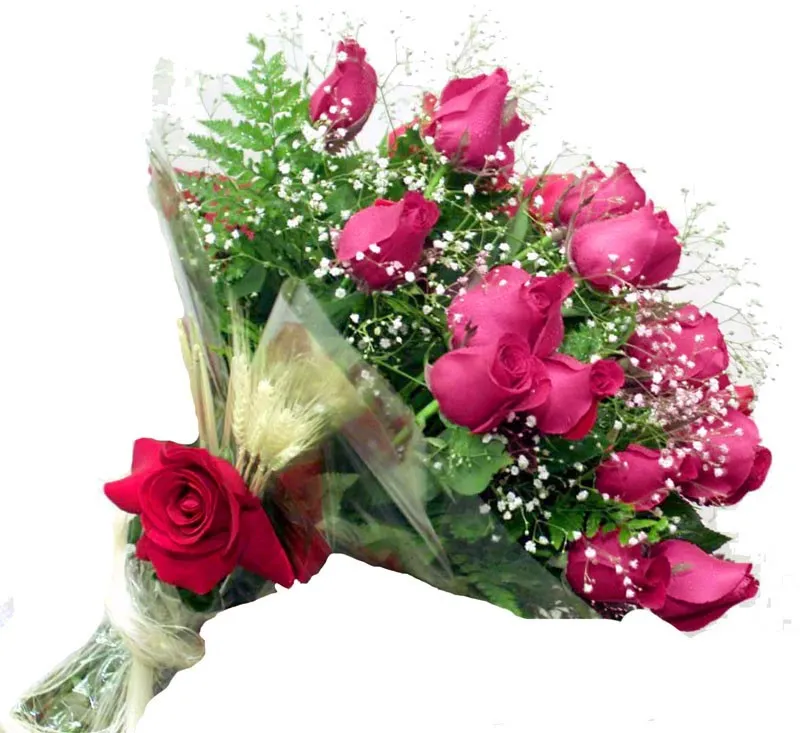 Cordeto IV - Exaltação à rosa?!