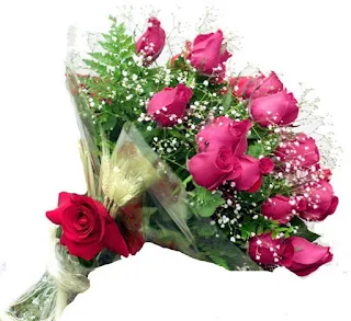 Rondel  nº 13 – Minha amada