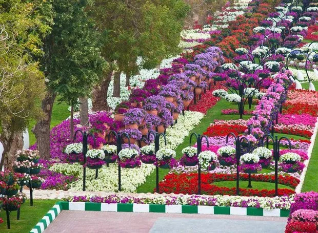 Al Ain Paradise (Foto: DivulgaÃ§Ã£o)