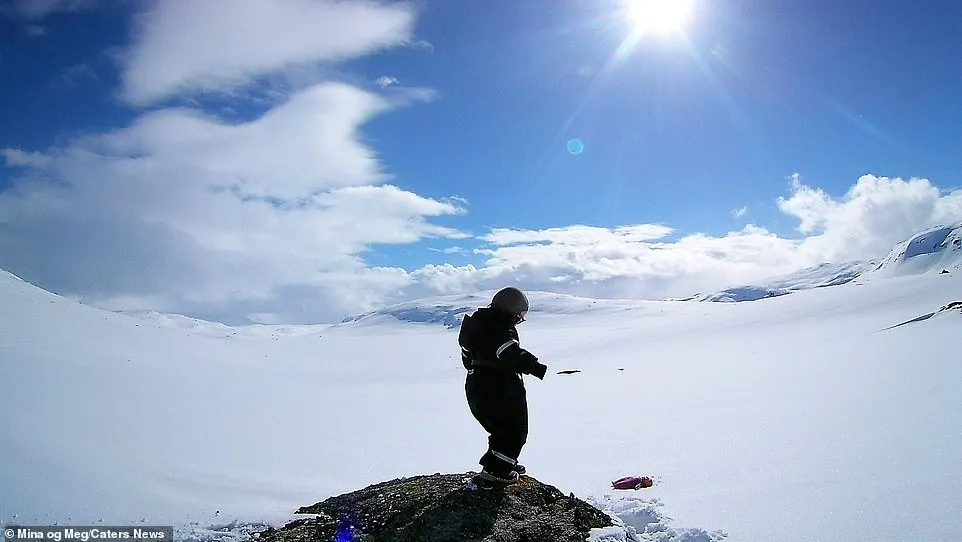 S-IIID - Tristeza e decepção.