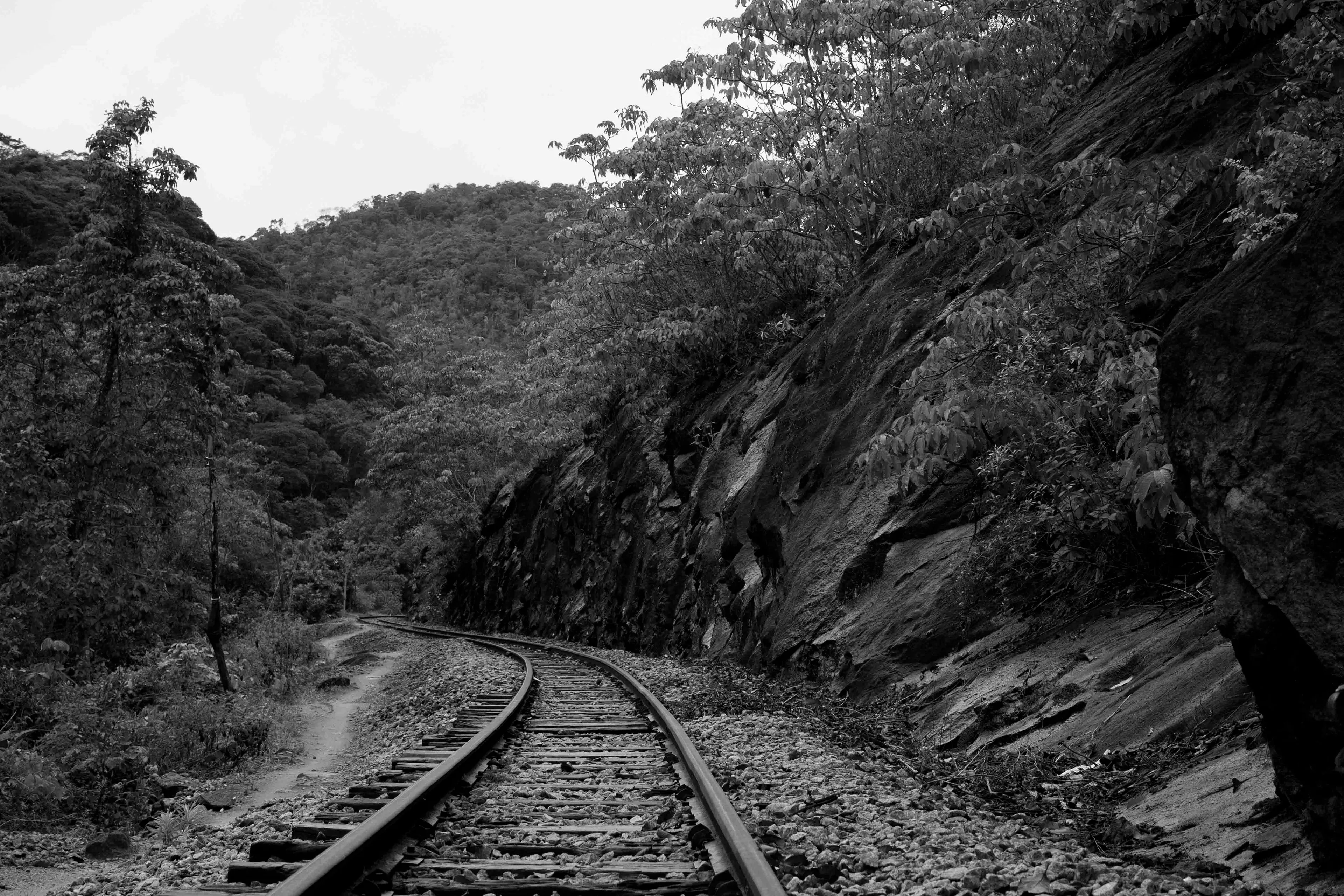 Bons caminhos – Cordeto (Ver mais)