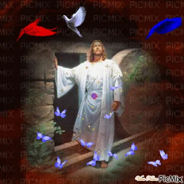 Cordéis da ressurreição (Ver mais)