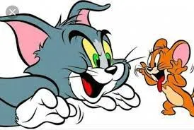 Rato e gato (Ver mais)