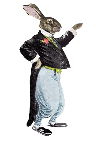 Resultado de imagem para gif de coelhos na enfeitado