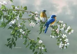 Amanhecer