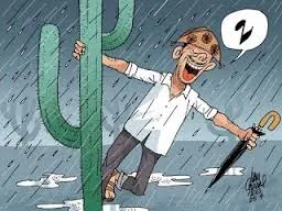 Solo pátrio