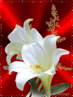 E.S.DIVS . A efígie do meu Deus - I