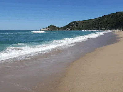 Resultado de imagem para Gif das ondas na praia