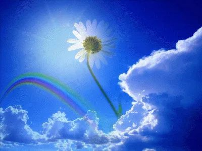 P-IPI - Pentâmetro iâmbico IV -  Prece