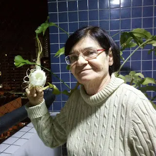 Parabéns  Eurídice