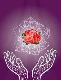 A rosa e o amor