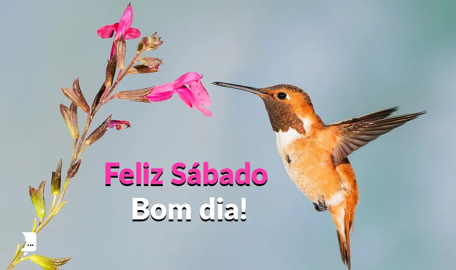 Sábado... descançou (Ver mais)