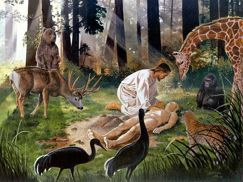 Pó... pó... ou galardão... (Ver mais)