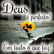 Trilogia de Trovas - TEMA:  Perfeito (Ver mais)