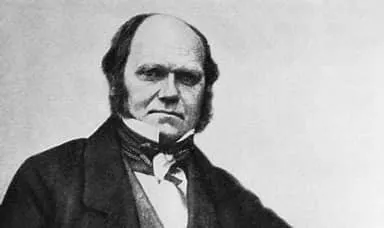 Grinalda de Sonetos – A Teo Big Expansão – Soneto V (Ver mais).