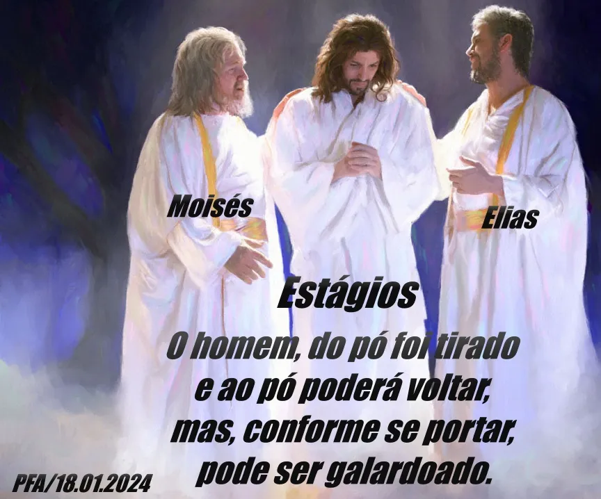 Estágios (Ver mais)