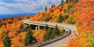 Outono e inverno à vista (Ver mais)