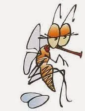 Palmas pra Aedes aegypti -