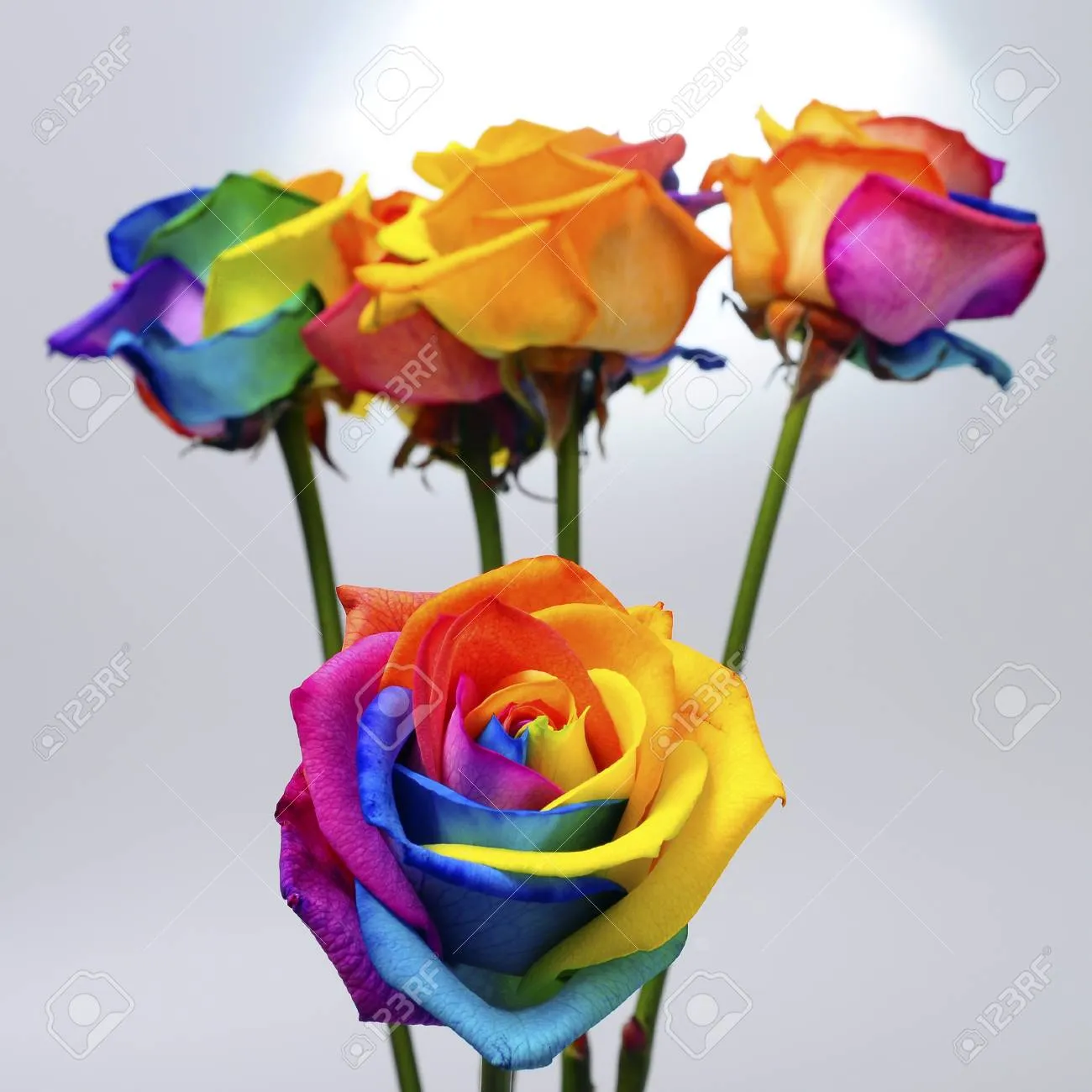 Obrigado, caros amigos (Ver mais)