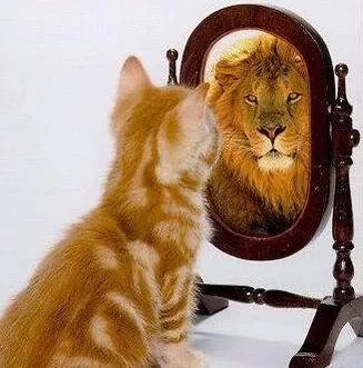 S-IIID - Seja mais você