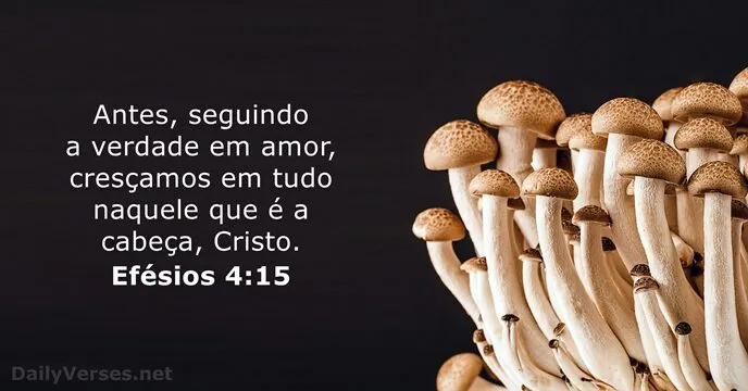 Resultado de imagem para Efesios 4