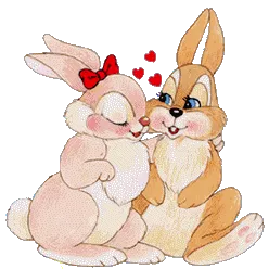 Resultado de imagem para gif de coelhos se amando