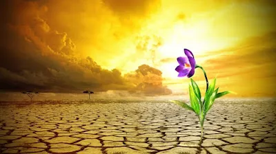 QM-IPV - Diálogos de Quia e Max — CXXXV