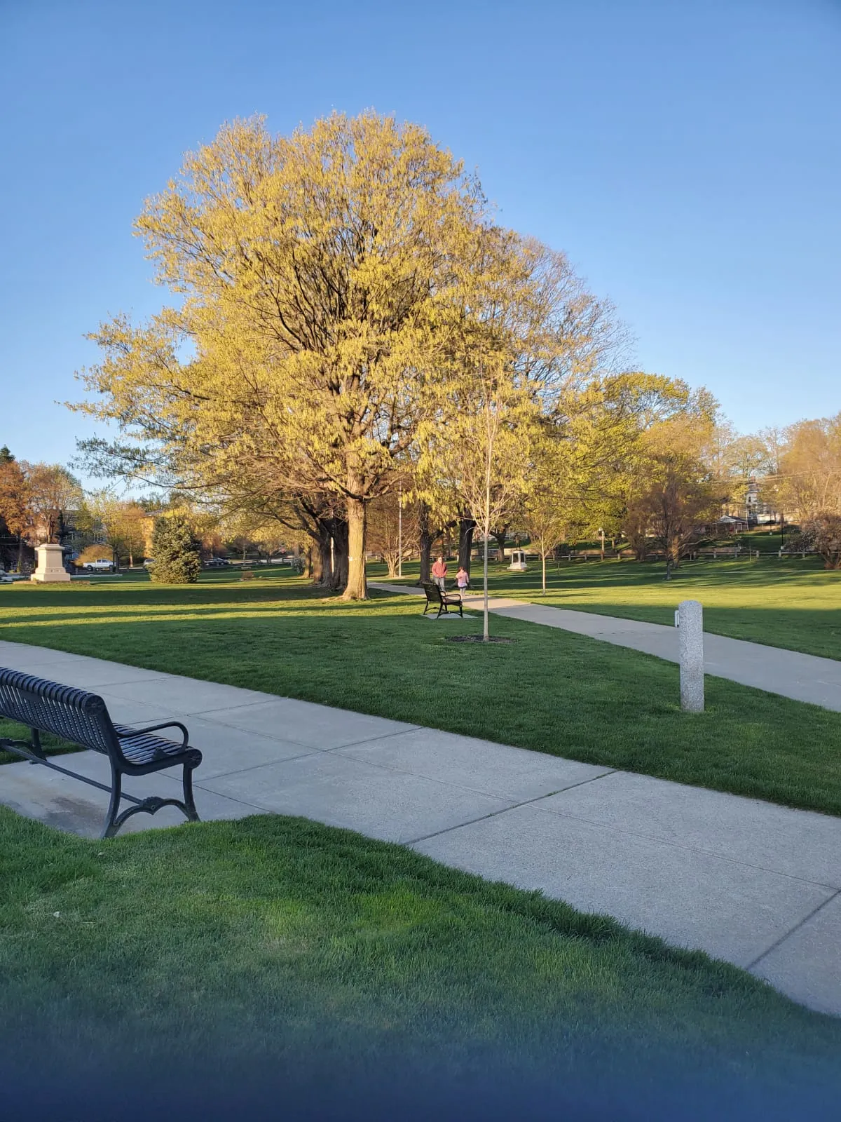 Matizes da primavera