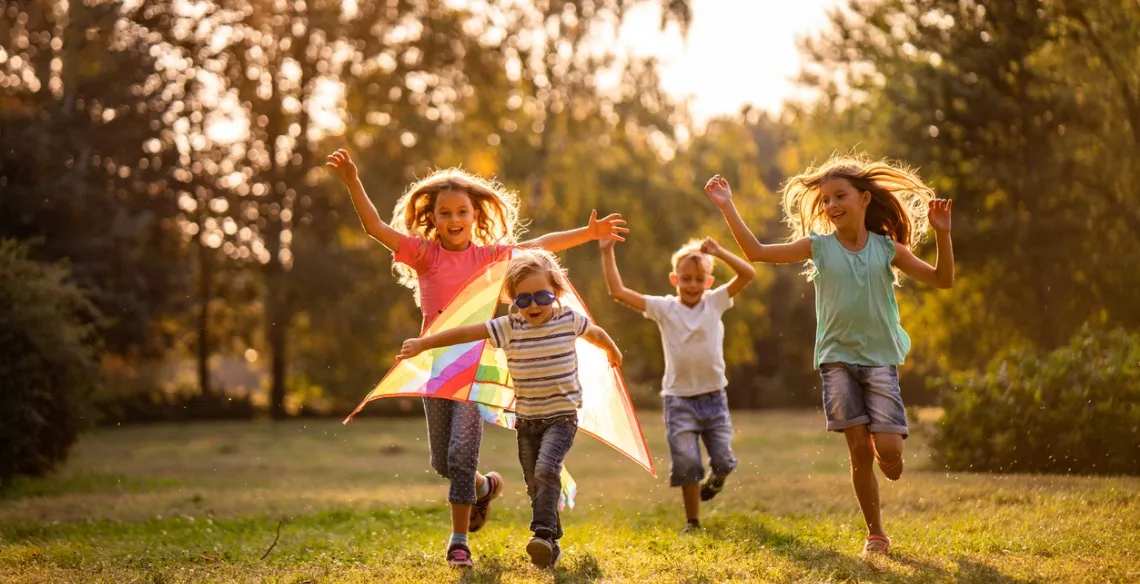 Felicidade, memória (Ver mais)