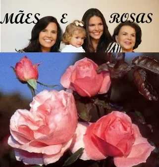 Mães e rosas (Ver mais)