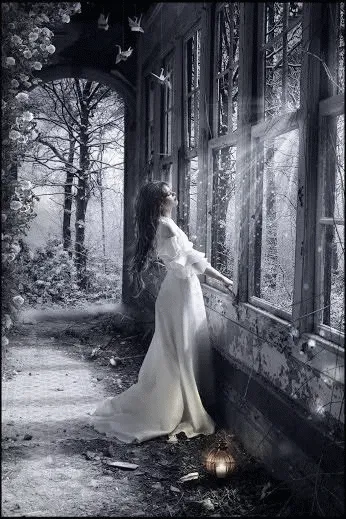 Vitória Gifs | Arte digital de garota, Fotografia conto de fadas ...