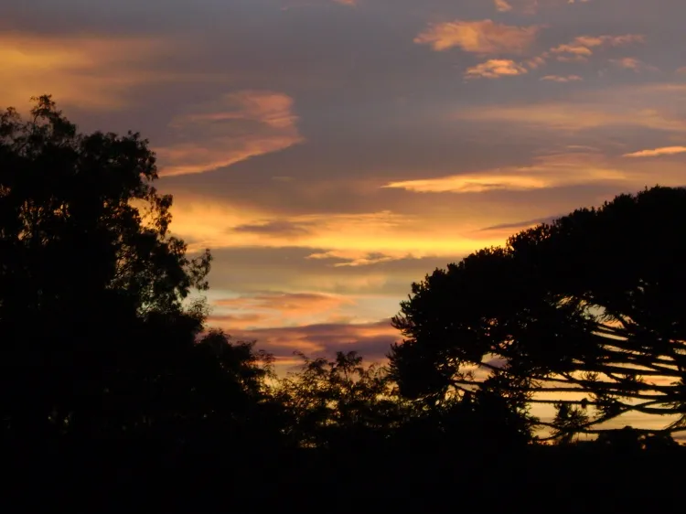 Solfejos de gratidão (Ver mais)